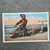 Vintage 1910s–1920s Black Americana Alligator Postcard The Home Stretch Florida Curt Teich Linen Era