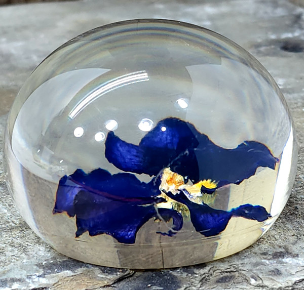 Vintage Tarax Infinity Lucite Paperweight Acrylic Encased Purple Flower Canada
