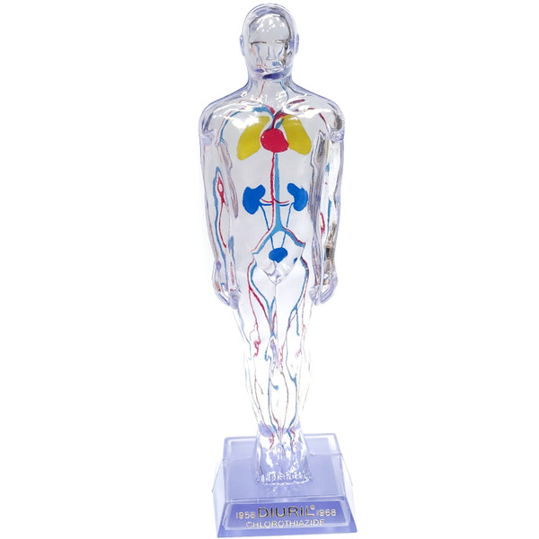 1968 Diuril Drug Rep Advertising Clear Human Body Figure Blood Pressure Medicine 1968 Diuril Drug Rep Advertising Clear Human Body Figure Blood Pressure Medicine