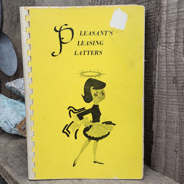 Pleasant's Pleasing Platters - Vintage Local Cookbook Warren, Pennsylvania
