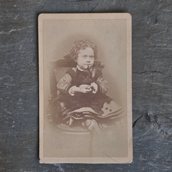 Antique CDV Photograph of Young Girl in Chair Small Black Dog Photo Norwich, CN
