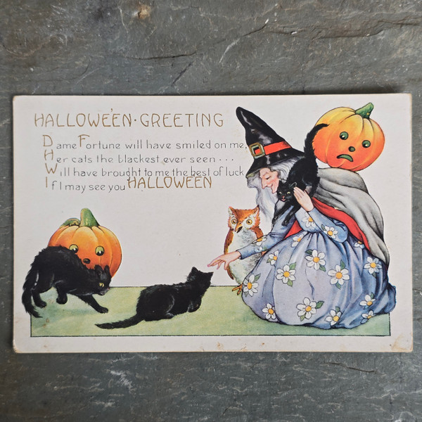 Antique Whitney Halloween Postcard Witch Petting Black Cats w/ Owl & Pumpkins