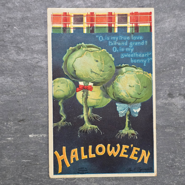 Antique Embossed Ellen Clapsaddle Cabbage Family Halloween Postcard Vegetables