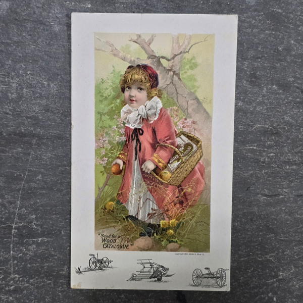 Walter A. Wood Farm Equipment Implement Victorian Trade Card Hoosick Falls, NY