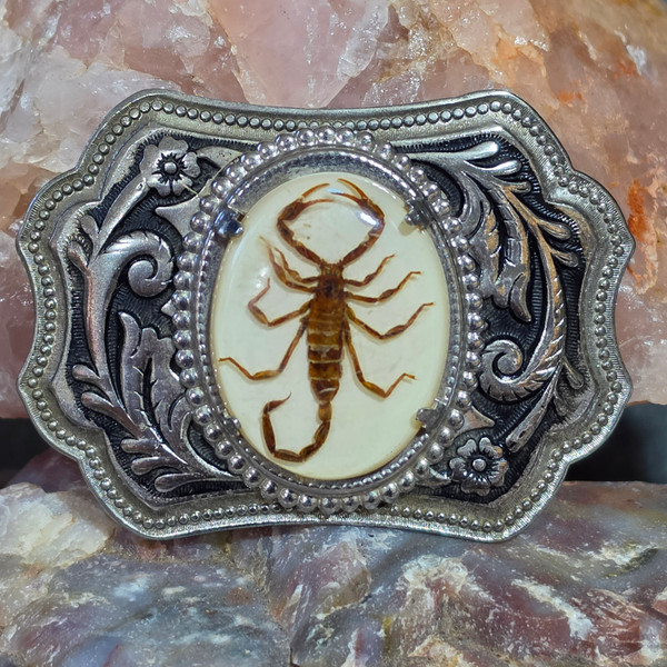 Retro Vintage Western Style Belt Buckle Real Scorpion Encased in Lucite Cowboy