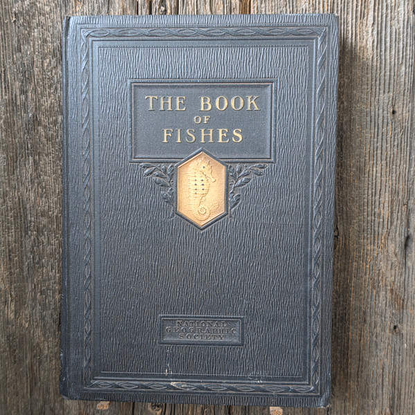 1924 The Book of Fishes Vintage National Geographic HC Illus. Fish Color Prints