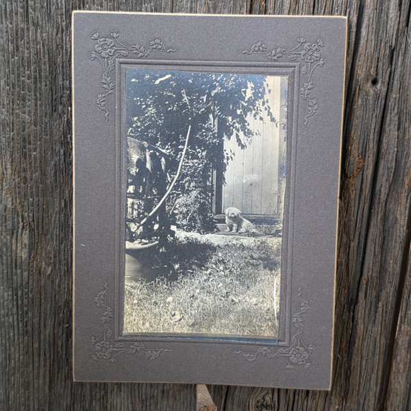 Antique Mounted Photo Cute Little Fuzzy Puppy Dog on Stoop in Garden Photograph