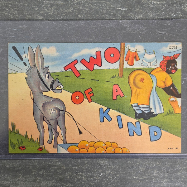 Vintage Black Americana Postcard Unposted Curt Teich Linen Comic Donkey Pun C733 Curteich