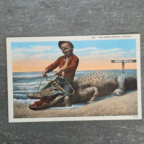 Vintage 1910s–1920s Black Americana Alligator Postcard The Home Stretch Florida Curt Teich Linen Era
