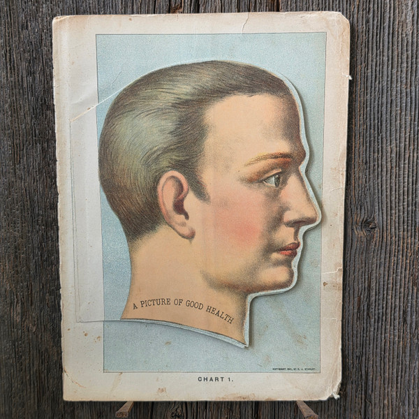 1901 Antique Medical Anatomical Flap Manikin Chart Human Head Brain Skull Oddity