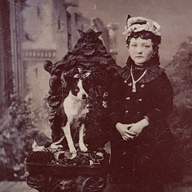 Tintype Plate Sizes