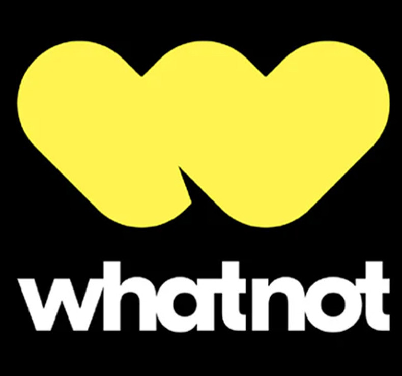 Whatnot Liquidation Winter 2024 / 2025