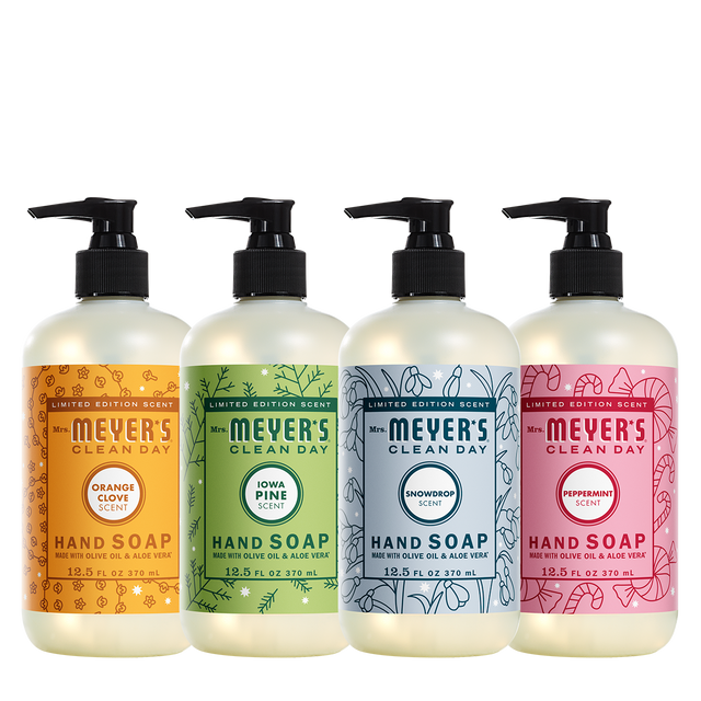 Foaming Hand Soap – Molly's Suds