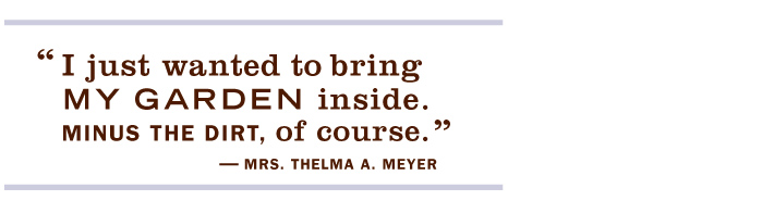 Thelma Ingredients Quote