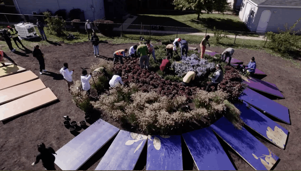 chicago lot of compassion garden