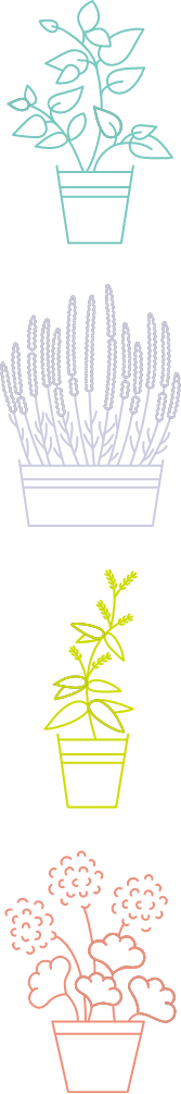 basil, lavender, lemon verbena, and geranium potted plants