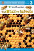 The Buzz on Insects:  - ISBN: 9780448490229