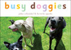 Busy Doggies:  - ISBN: 9781582460901
