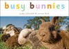 Busy Bunnies:  - ISBN: 9781582462424