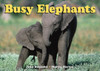Busy Elephants:  - ISBN: 9781582463834