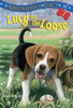 Absolutely Lucy #2: Lucy on the Loose:  - ISBN: 9780307265081
