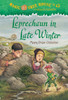 Leprechaun in Late Winter:  - ISBN: 9780375856518