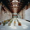 Tadao Ando Venice: The Pinault Collection at the Palazzo Grassi and the Punta Della Dogana - ISBN: 9780847834105