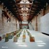 Tadao Ando Venice: The Pinault Collection at the Palazzo Grassi and the Punta Della Dogana - ISBN: 9780847834105