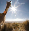 Vicuna: The Queen of the Andes - ISBN: 9788857213866