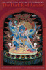The Dark Red Amulet: Oral Instructions on the Practice of Vajrakilaya - ISBN: 9781559393119