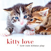 Kitty Love: How Cute Kittens Play - ISBN: 9781454911289