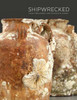 Shipwrecked: Tang Treasures and Monsoon Winds - ISBN: 9781588343055