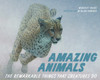 Amazing Animals: The Remarkable Things That Creatures Do - ISBN: 9780887769733