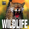 Wildlife (MiniCube):  - ISBN: 9788854404182