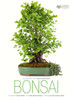 Bonsai:  - ISBN: 9788854408432