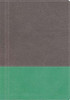 NKJV, The Modern Life Study Bible, Imitation Leather, Gray/Green, Indexed - ISBN: 9781401679651