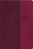 KJV Study Bible, Imitation Leather, Red/Pink, Red Letter Edition - ISBN: 9781401679507