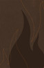 NKJV, Ignite, Imitation Leather, Brown - ISBN: 9781401677152