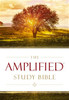 Amplified Study Bible, Hardcover - ISBN: 9780310440307