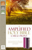 Amplified Holy Bible, Large Print, Imitation Leather, Pink/Purple - ISBN: 9780310444060