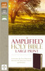 Amplified Holy Bible, Large Print, Bonded Leather, Burgundy - ISBN: 9780310444053