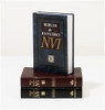 Biblia de estudio NVI - ISBN: 9780829736977