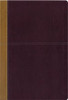KJV, Amplified, Parallel Bible, Large Print, Imitation Leather, Tan/Red, Red Letter Edition - ISBN: 9780310443346