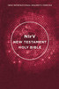 NIrV, Outreach New Testament, Paperback, Pink - ISBN: 9780310445975