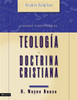 Cuadros sinópticos de teología y doctrina cristiana - ISBN: 9780829746006