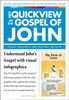 NIV, QuickView of the Gospel of John, Paperback (Pack of 20) - ISBN: 9780310421443