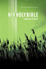 NIV, New Testament, Large Print, Paperback, Green - ISBN: 9781563206207