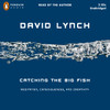 Catching the Big Fish: Meditation, Consciousness, and Creativity (AudioBook) (CD) - ISBN: 9780143142072