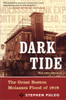Dark Tide: The Great Boston Molasses Flood of 1919 - ISBN: 9780807050217