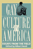 Gay Culture in America: Essays from the Field - ISBN: 9780807079157